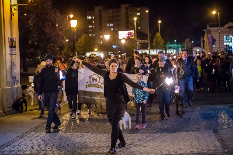 Fáklyás felvonulással hívták fel a figyelmet a bántalmazott állatokra