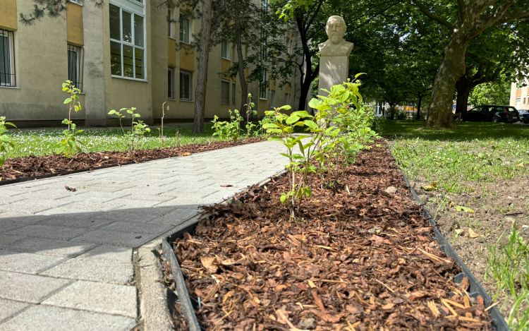 Járdafelújítások – az Ybl lakótelepen már elkészült, a Zichy ligetben ősszel kezdődik a beruházás